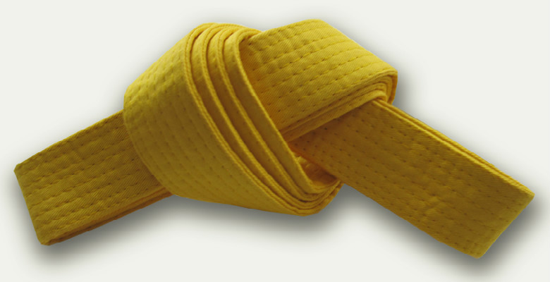 Formação Yellow Belt